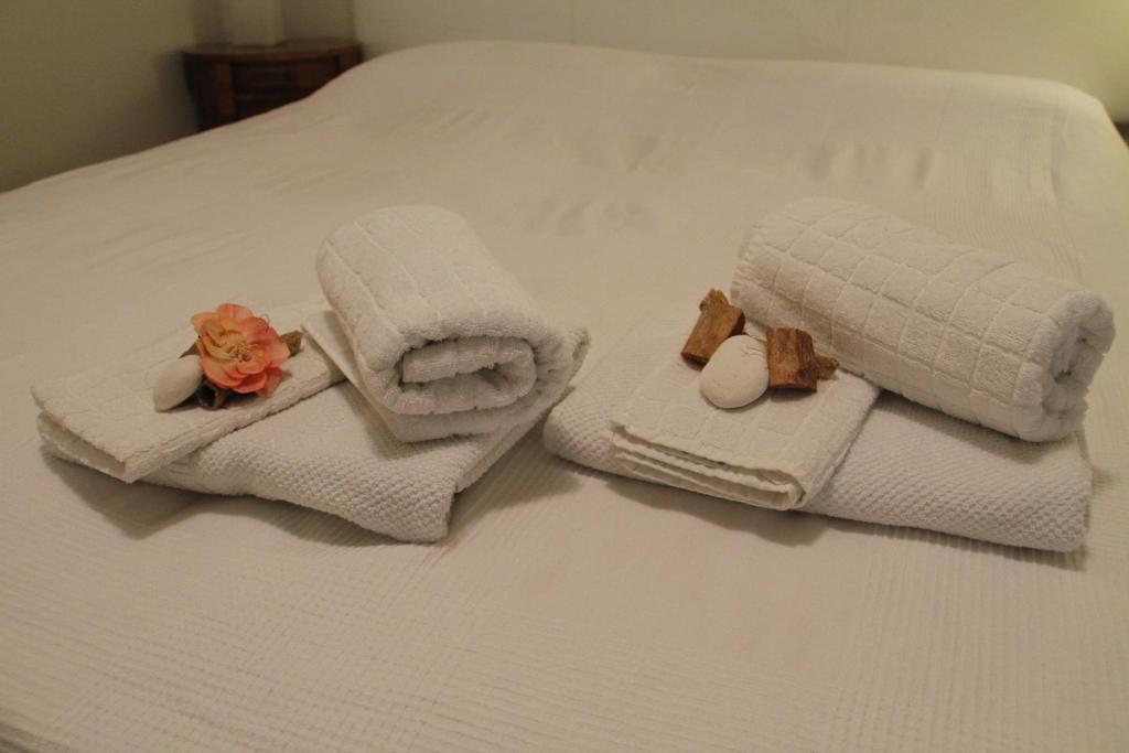 La Salvia e Il Lampone room 5